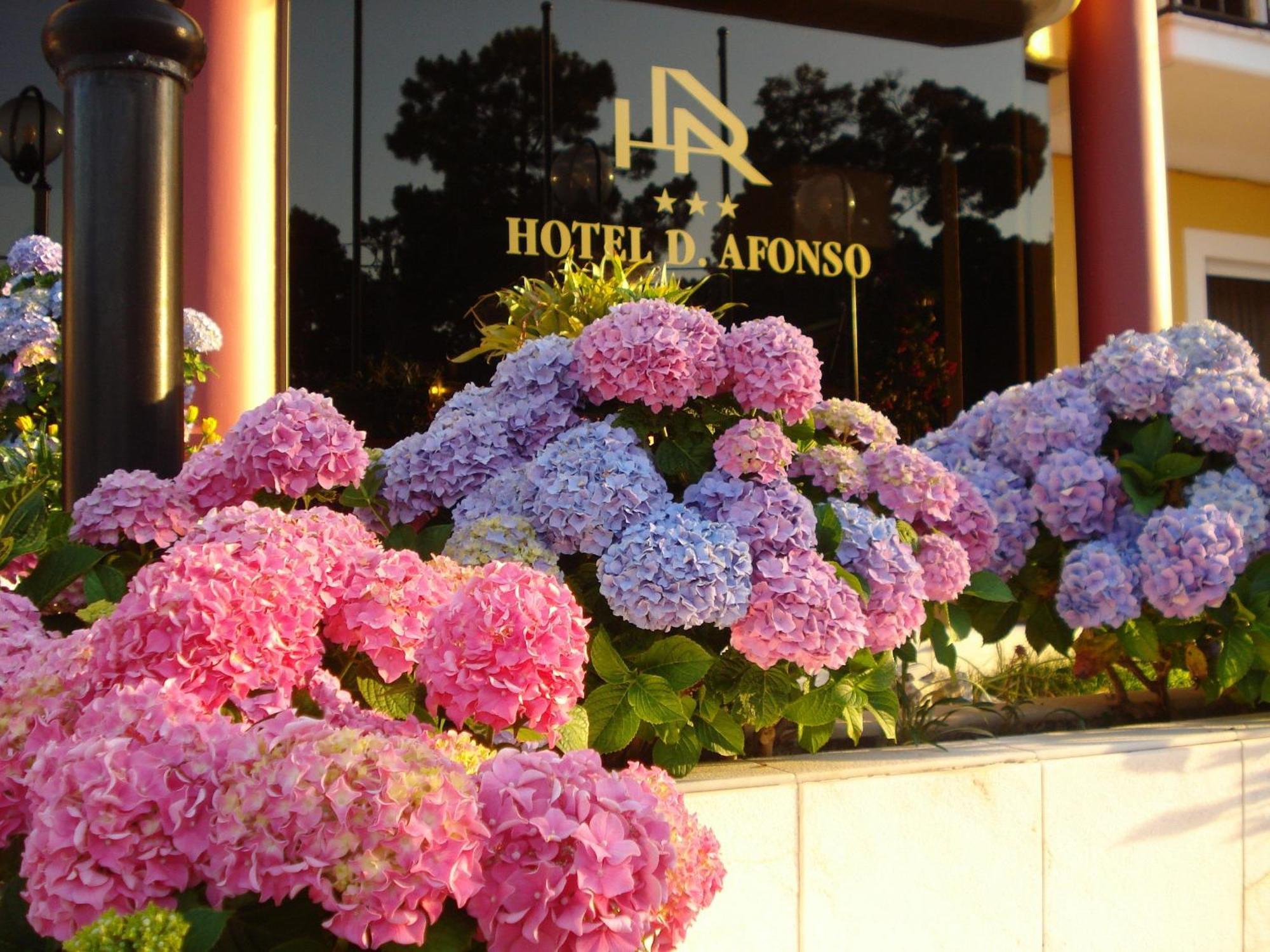 D. Afonso Hotel & Spa Monte Real Exterior photo